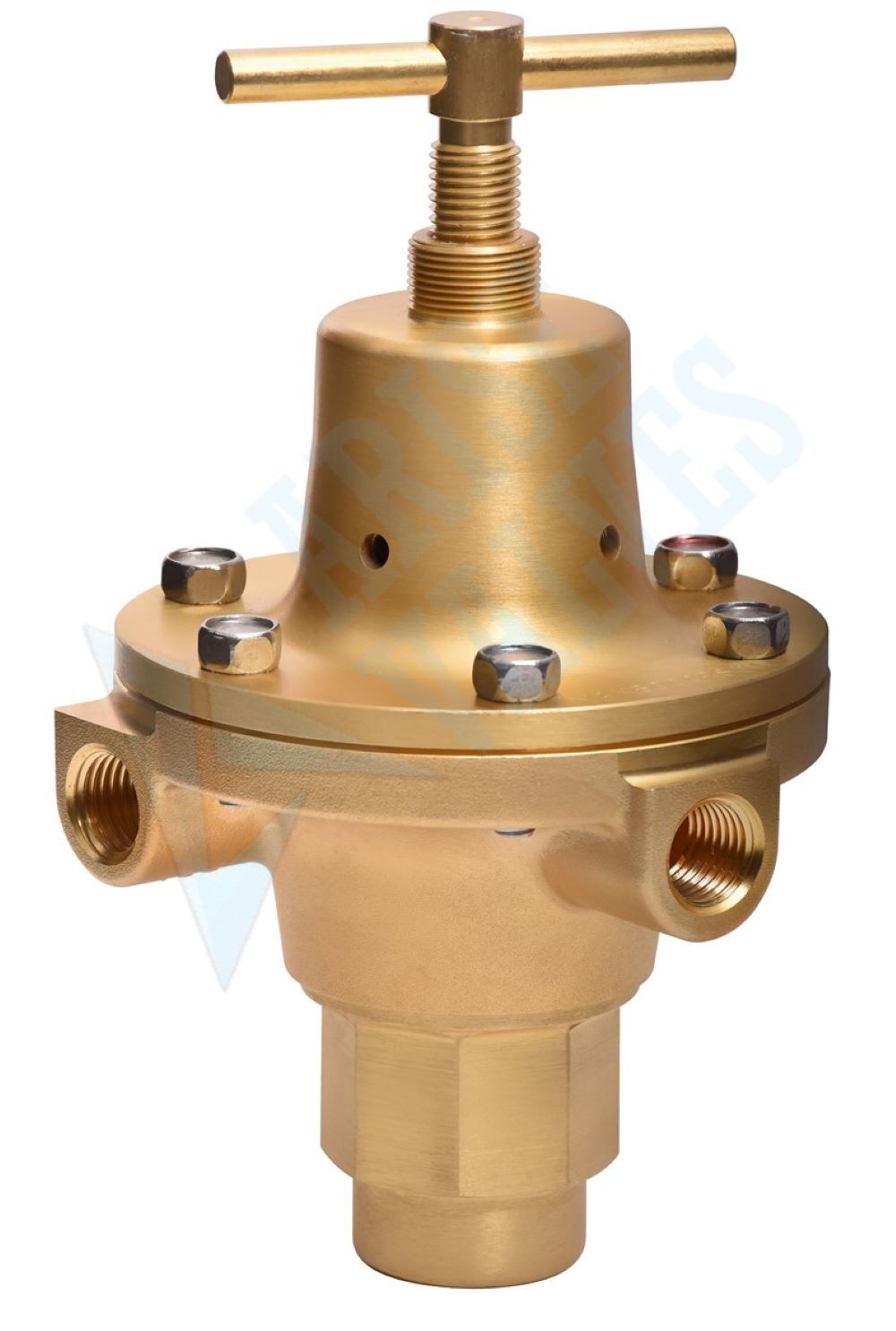 Steam-Pressure-Regulator2.jpg